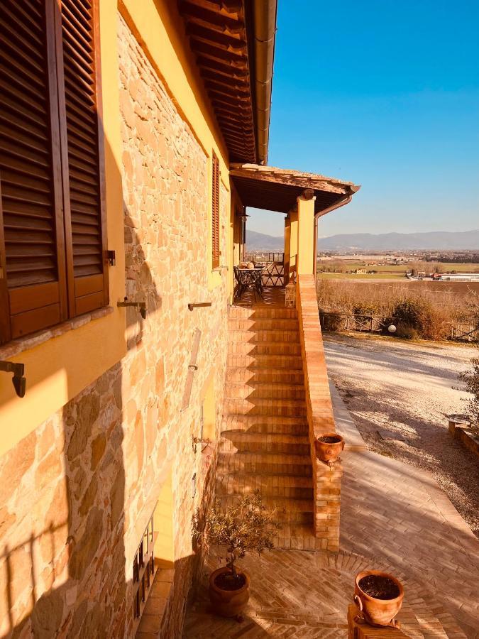 Agriturismo Il Divin Casale Torgiano Esterno foto
