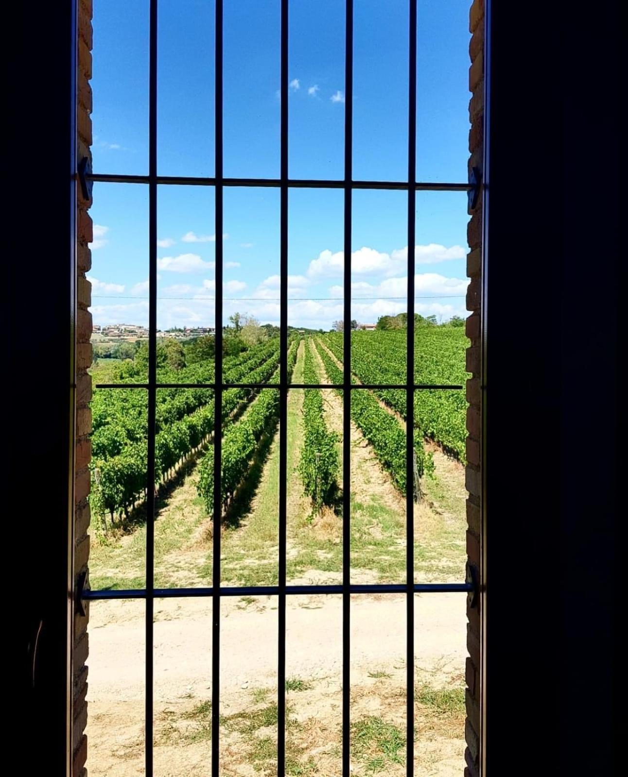 Agriturismo Il Divin Casale Torgiano Esterno foto