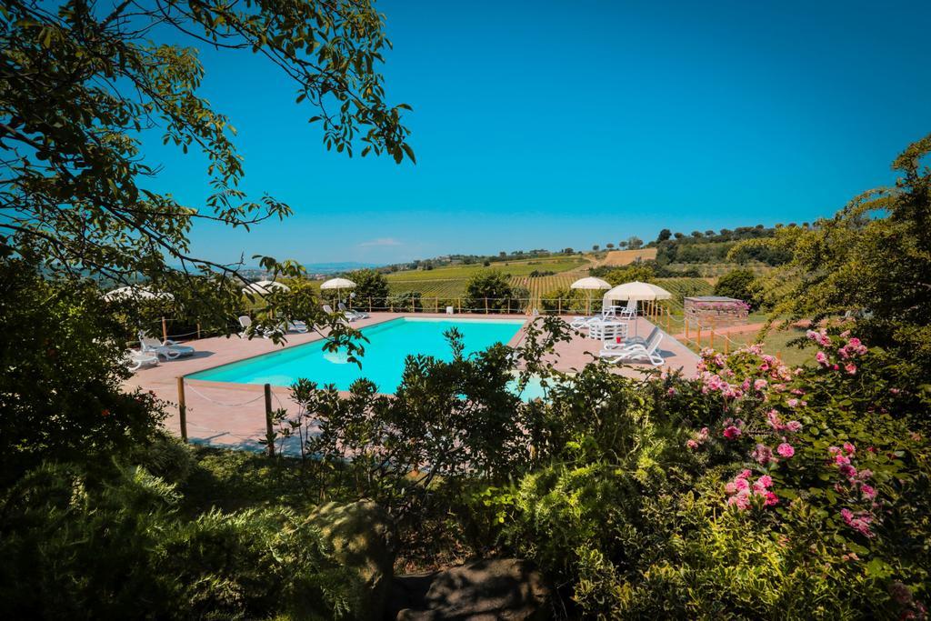 Agriturismo Il Divin Casale Torgiano Esterno foto
